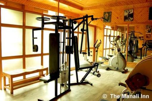 фото отеля Manali Inn