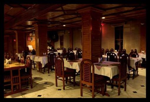 фото отеля Manali Inn