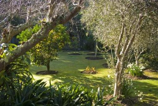 фото отеля Iluka Bed & Breakfast Auckland
