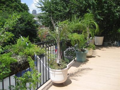 фото отеля Balcony Guest House