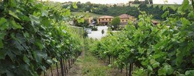 фото отеля Borgo Delle Vigne Hotel Zola Predosa