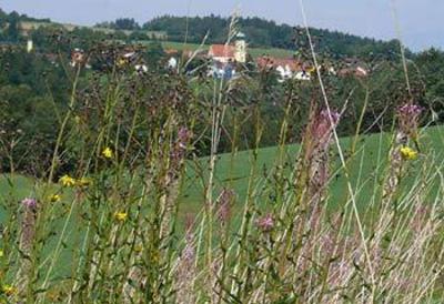 фото отеля Landgasthof-Pension "Am Sonnenhang"