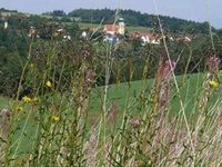 Landgasthof-Pension "Am Sonnenhang"