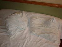 Hotel Poretta