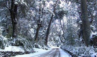 фото отеля Tunquelen Hotel San Carlos de Bariloche