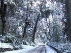 фото отеля Tunquelen Hotel San Carlos de Bariloche