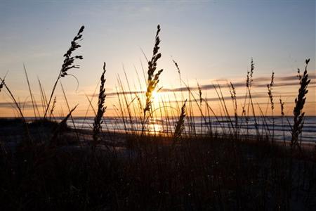 фото отеля Wild Dunes Resort Isle of Palms