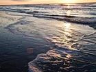 фото отеля Wild Dunes Resort Isle of Palms