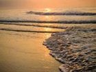фото отеля Wild Dunes Resort Isle of Palms