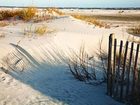 фото отеля Wild Dunes Resort Isle of Palms