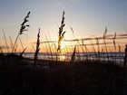 фото отеля Wild Dunes Resort Isle of Palms