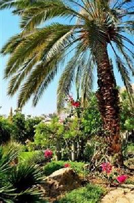 фото отеля Ein Gedi Resort Hotel