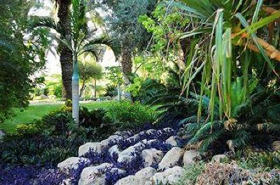 фото отеля Ein Gedi Resort Hotel