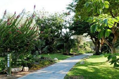 фото отеля Ein Gedi Resort Hotel