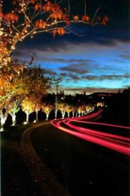 фото отеля Hampton Inn Spokane