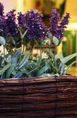 фото отеля Brit Hotel - Le Parisiana
