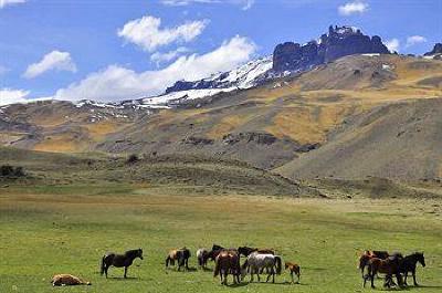 фото отеля The Singular Patagonia