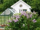 фото отеля Gillespie House Inn