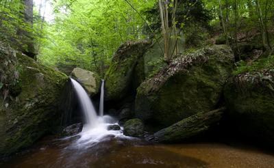 фото отеля Landgasthof Peilsteinblick