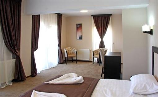 фото отеля Hotel King Targoviste