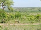 фото отеля Mpingo Farm Stay