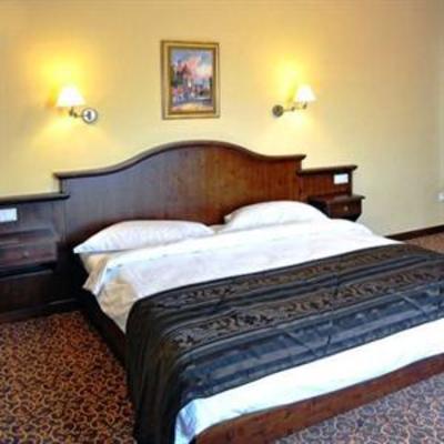 фото отеля Hotel Leul de Aur