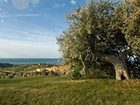 фото отеля Le Madonie Golf Club Resort Collesano