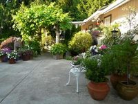 Beachcomber Cottage