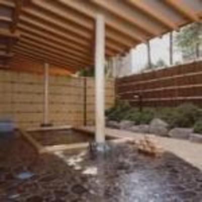 фото отеля Nishina No Yado Shoen Ryokan Nagano