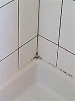 фото отеля Etap Hotel Limoges