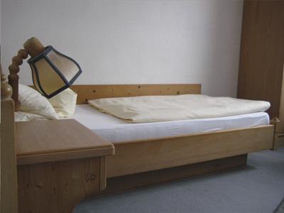 фото отеля Hotel Schweizer Haus