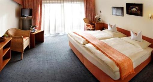 фото отеля Saumerhof Hotel Grafenau