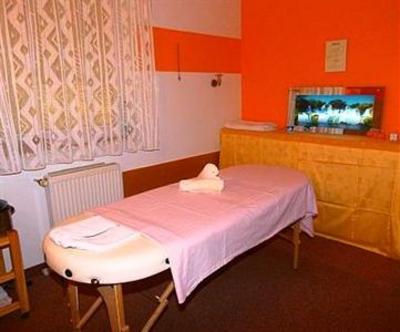 фото отеля Hotel Pelikan Marianske Lazne