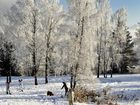 фото отеля Waldhotel Seefeld