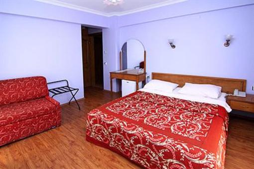 фото отеля Hotel Turkili