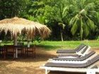 фото отеля Mangrove Villa
