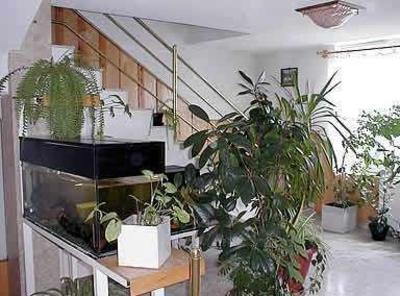 фото отеля Trojka Hotel Es Panzio