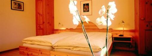 фото отеля Hotel Chesa Surlej