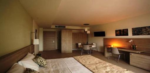фото отеля Turin Airport Hotel & Residence