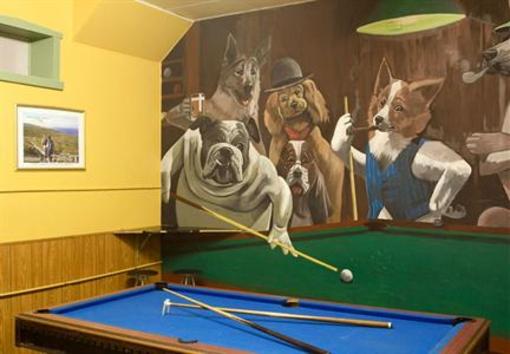 фото отеля Albany Backpackers
