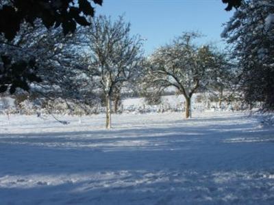 фото отеля Little Treaddow Farmhouse Bed and Breakfast Hereford