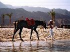 фото отеля Safari Beach Hotel Nuweiba