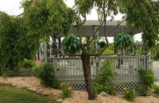 фото отеля Branson Yellow Rose Inn and Suites