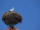 фото отеля Gutshof Insel Usedom Hotel Mellenthin