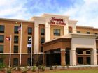 фото отеля Hampton Inn & Suites Savannah Airport