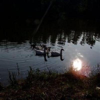 фото отеля San Bernardino del Lago