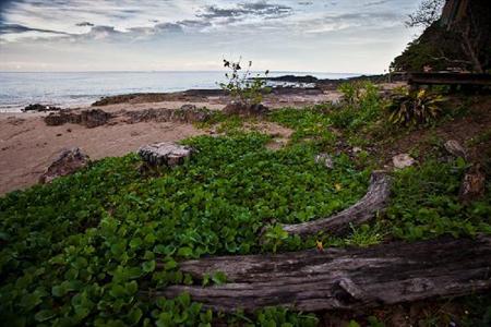 фото отеля Baan Phu Lae