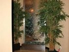 фото отеля Hilton Garden Inn Tribeca New York City