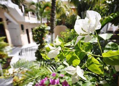 фото отеля Maya Bric Hotel Playa del Carmen