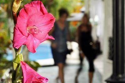 фото отеля Maya Bric Hotel Playa del Carmen